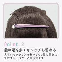 画像をギャラリービューアに読み込む, アイビル プロクリップ ラージ