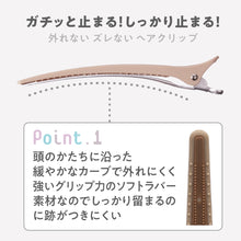 画像をギャラリービューアに読み込む, アイビル プロクリップ