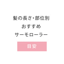 画像をギャラリービューアに読み込む, アイビル サーモローラーSE