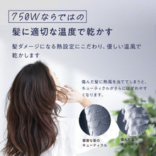 画像をギャラリービューアに読み込む, アイビル プロドライヤー 750
